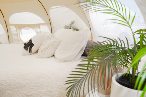 Glamping tents